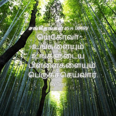 Picture 04 - சங்கீதங்கள் 115:14 TAMIRV - யெகோவா உங்களையும் - Bible Verse Picture