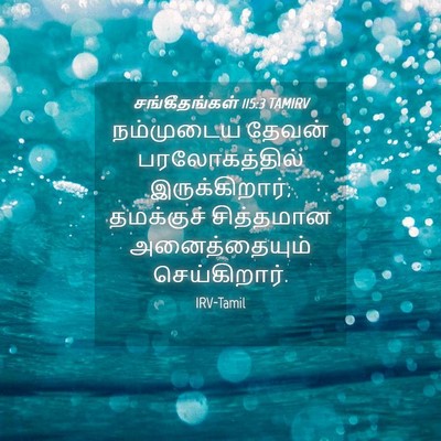Picture 04 - சங்கீதங்கள் 115:3 TAMIRV - நம்முடைய தேவன் - Bible Verse Picture
