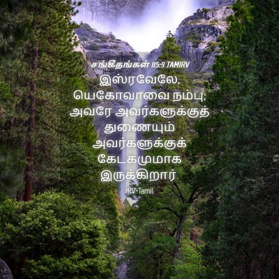 Picture 04 - சங்கீதங்கள் 115:9 TAMIRV - இஸ்ரவேலே, - Bible Verse Picture
