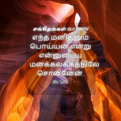 Picture 04 - சங்கீதங்கள் 116:11 TAMIRV - எந்த மனிதனும் - Bible Verse Picture