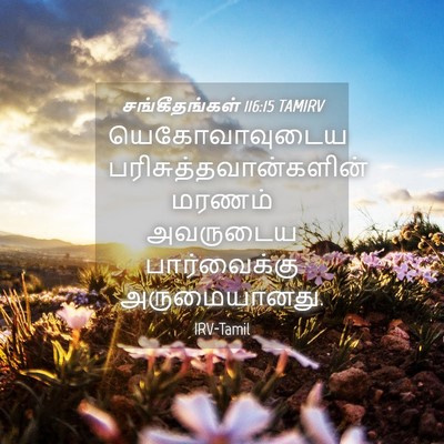 Picture 04 - சங்கீதங்கள் 116:15 TAMIRV - யெகோவாவுடைய - Bible Verse Picture