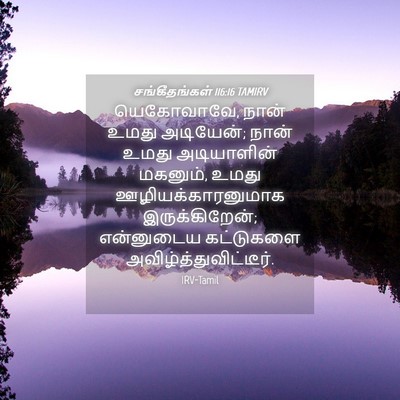 Picture 04 - சங்கீதங்கள் 116:16 TAMIRV - யெகோவாவே, நான் - Bible Verse Picture