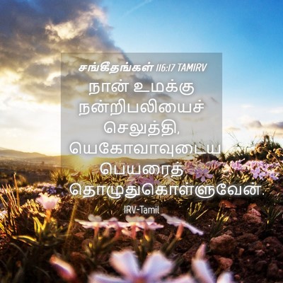 Picture 04 - சங்கீதங்கள் 116:17 TAMIRV - நான் உமக்கு - Bible Verse Picture