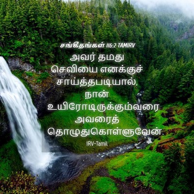 Picture 04 - சங்கீதங்கள் 116:2 TAMIRV - அவர் தமது செவியை - Bible Verse Picture