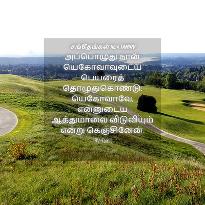 Picture 04 - சங்கீதங்கள் 116:4 TAMIRV - அப்பொழுது நான் - Bible Verse Picture