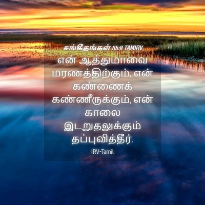 Picture 04 - சங்கீதங்கள் 116:8 TAMIRV - என் ஆத்துமாவை - Bible Verse Picture