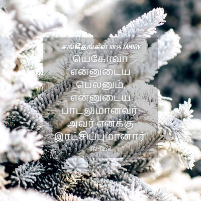 Picture 04 - சங்கீதங்கள் 118:14 TAMIRV - யெகோவா என்னுடைய - Bible Verse Picture