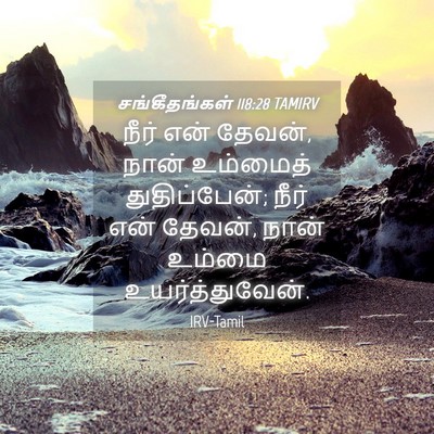 Picture 04 - சங்கீதங்கள் 118:28 TAMIRV - நீர் என் தேவன், - Bible Verse Picture