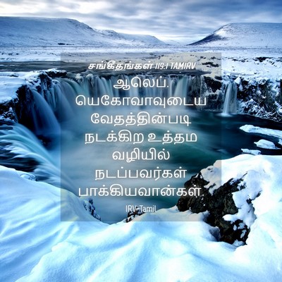 Picture 04 - சங்கீதங்கள் 119:1 TAMIRV - ஆலெப். - Bible Verse Picture
