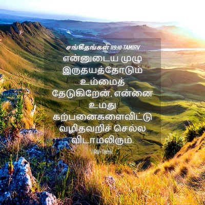 Picture 04 - சங்கீதங்கள் 119:10 TAMIRV - என்னுடைய முழு - Bible Verse Picture