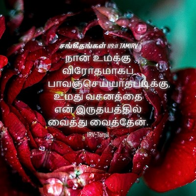Picture 04 - சங்கீதங்கள் 119:11 TAMIRV - நான் உமக்கு - Bible Verse Picture