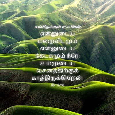 Picture 04 - சங்கீதங்கள் 119:114 TAMIRV - என்னுடைய - Bible Verse Picture
