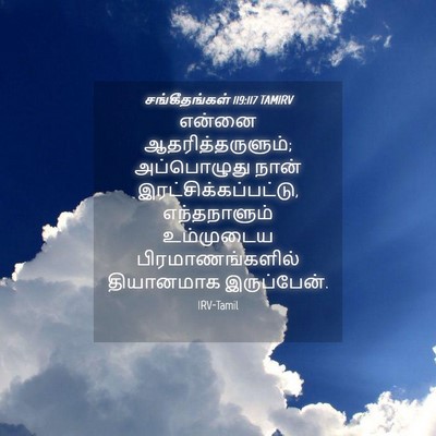 Picture 04 - சங்கீதங்கள் 119:117 TAMIRV - என்னை - Bible Verse Picture