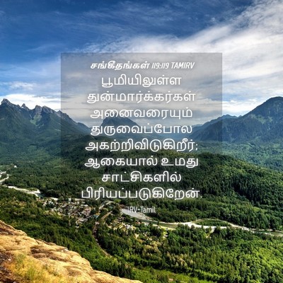 Picture 04 - சங்கீதங்கள் 119:119 TAMIRV - பூமியிலுள்ள - Bible Verse Picture