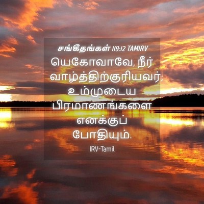 Picture 04 - சங்கீதங்கள் 119:12 TAMIRV - யெகோவாவே, நீர் - Bible Verse Picture