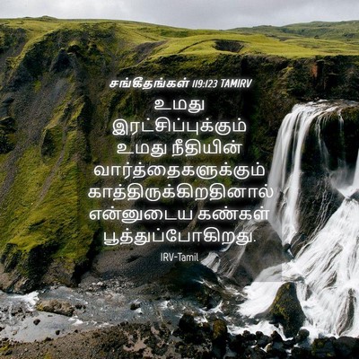 Picture 04 - சங்கீதங்கள் 119:123 TAMIRV - உமது - Bible Verse Picture