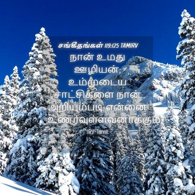 Picture 04 - சங்கீதங்கள் 119:125 TAMIRV - நான் உமது ஊழியன்; - Bible Verse Picture