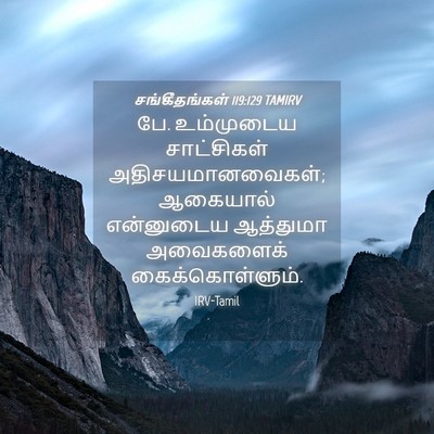 Picture 04 - சங்கீதங்கள் 119:129 TAMIRV - பே. உம்முடைய - Bible Verse Picture