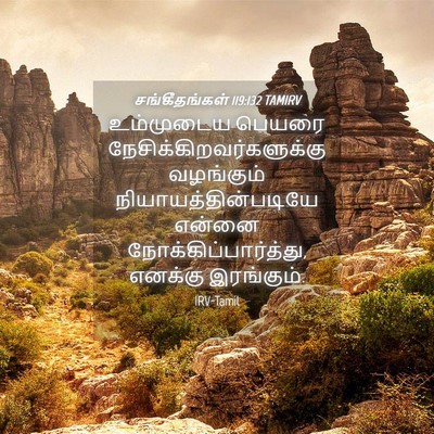 Picture 04 - சங்கீதங்கள் 119:132 TAMIRV - உம்முடைய பெயரை - Bible Verse Picture