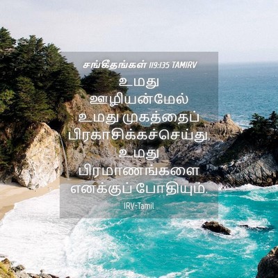 Picture 04 - சங்கீதங்கள் 119:135 TAMIRV - உமது ஊழியன்மேல் - Bible Verse Picture