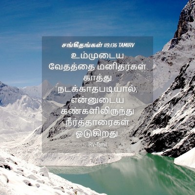 Picture 04 - சங்கீதங்கள் 119:136 TAMIRV - உம்முடைய வேதத்தை - Bible Verse Picture