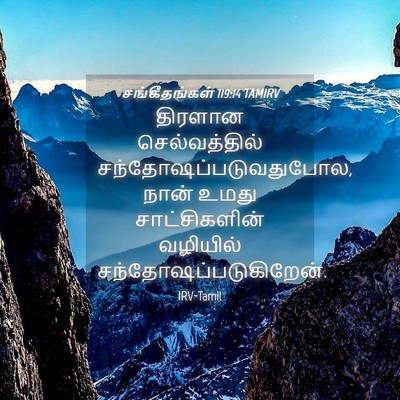 Picture 04 - சங்கீதங்கள் 119:14 TAMIRV - திரளான - Bible Verse Picture