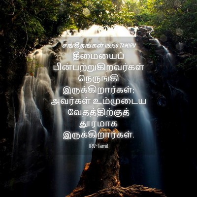 Picture 04 - சங்கீதங்கள் 119:150 TAMIRV - தீமையைப் - Bible Verse Picture