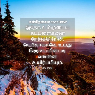 Picture 04 - சங்கீதங்கள் 119:159 TAMIRV - இதோ, உம்முடைய - Bible Verse Picture
