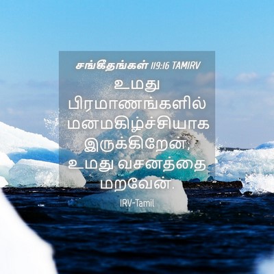 Picture 04 - சங்கீதங்கள் 119:16 TAMIRV - உமது - Bible Verse Picture