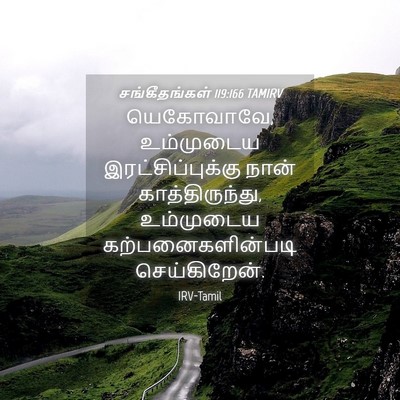 Picture 04 - சங்கீதங்கள் 119:166 TAMIRV - யெகோவாவே, - Bible Verse Picture