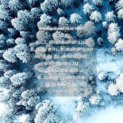 Picture 04 - சங்கீதங்கள் 119:168 TAMIRV - உமது - Bible Verse Picture