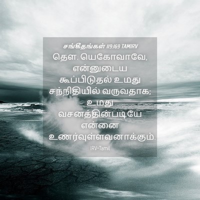 Picture 04 - சங்கீதங்கள் 119:169 TAMIRV - தெள. யெகோவாவே, - Bible Verse Picture