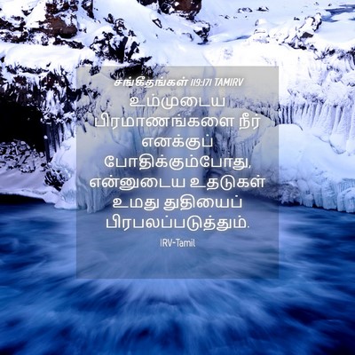 Picture 04 - சங்கீதங்கள் 119:171 TAMIRV - உம்முடைய - Bible Verse Picture