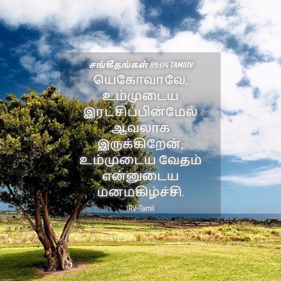 Picture 04 - சங்கீதங்கள் 119:174 TAMIRV - யெகோவாவே, - Bible Verse Picture