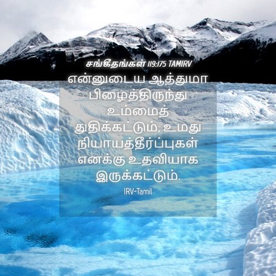 Picture 04 - சங்கீதங்கள் 119:175 TAMIRV - என்னுடைய ஆத்துமா - Bible Verse Picture
