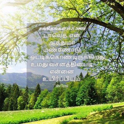 Picture 04 - சங்கீதங்கள் 119:25 TAMIRV - டாலெத். என் - Bible Verse Picture