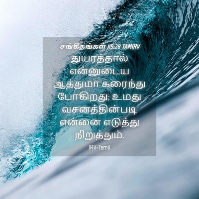 Picture 04 - சங்கீதங்கள் 119:28 TAMIRV - துயரத்தால் - Bible Verse Picture