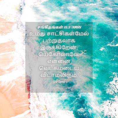 Picture 04 - சங்கீதங்கள் 119:31 TAMIRV - உமது - Bible Verse Picture