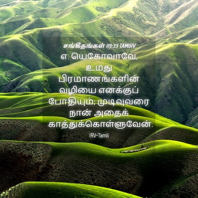 Picture 04 - சங்கீதங்கள் 119:33 TAMIRV - எ. யெகோவாவே, உமது - Bible Verse Picture