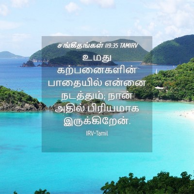 Picture 04 - சங்கீதங்கள் 119:35 TAMIRV - உமது கற்பனைகளின் - Bible Verse Picture