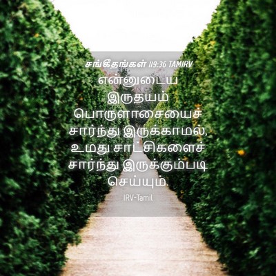 Picture 04 - சங்கீதங்கள் 119:36 TAMIRV - என்னுடைய இருதயம் - Bible Verse Picture