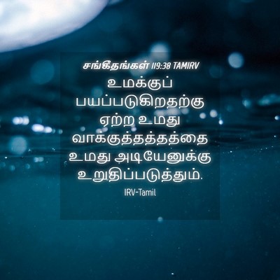 Picture 04 - சங்கீதங்கள் 119:38 TAMIRV - உமக்குப் - Bible Verse Picture