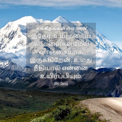 Picture 04 - சங்கீதங்கள் 119:40 TAMIRV - இதோ, உம்முடைய - Bible Verse Picture