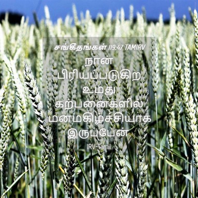 Picture 04 - சங்கீதங்கள் 119:47 TAMIRV - நான் - Bible Verse Picture