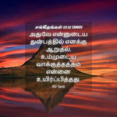 Picture 04 - சங்கீதங்கள் 119:50 TAMIRV - அதுவே என்னுடைய - Bible Verse Picture