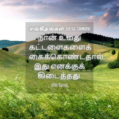 Picture 04 - சங்கீதங்கள் 119:56 TAMIRV - நான் உமது - Bible Verse Picture