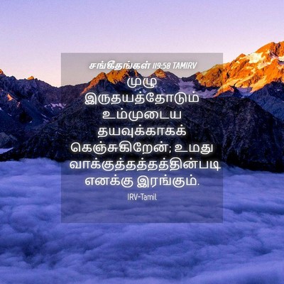 Picture 04 - சங்கீதங்கள் 119:58 TAMIRV - முழு - Bible Verse Picture