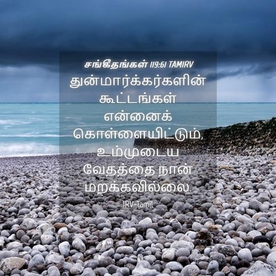 Picture 04 - சங்கீதங்கள் 119:61 TAMIRV -  - Bible Verse Picture
