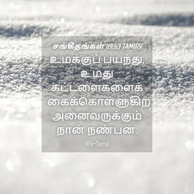 Picture 04 - சங்கீதங்கள் 119:63 TAMIRV - உமக்குப் பயந்து, - Bible Verse Picture