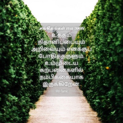 Picture 04 - சங்கீதங்கள் 119:66 TAMIRV - உத்தம - Bible Verse Picture